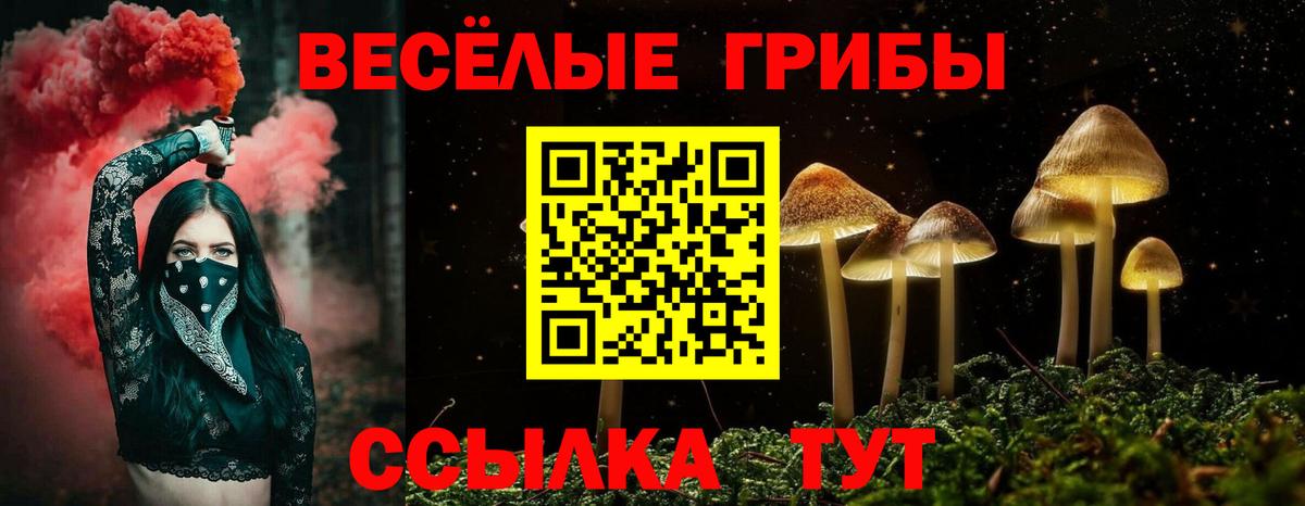 Псилоцибиновые грибы ЛСД Рассказово