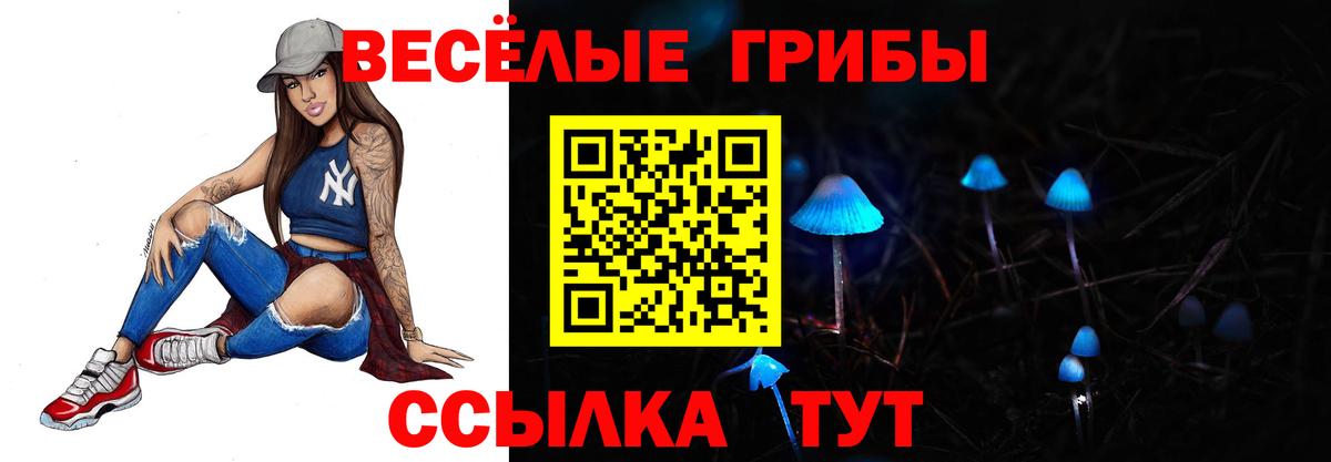 Рассказово  Псилоцибиновые грибы Cubensis  Вход с VPN 