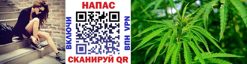 МАРИХУАНА конопля  Рассказово 